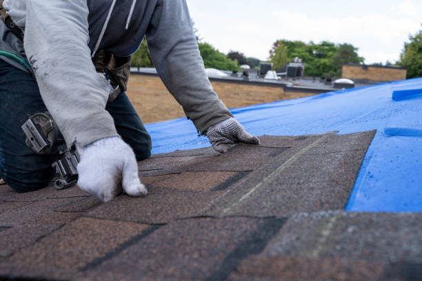 Best New Roof Installation  in Hemlock, MI
